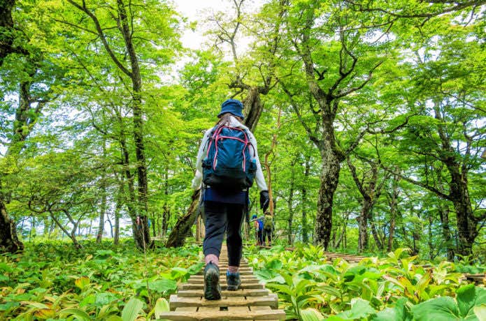 登山の服装をした人