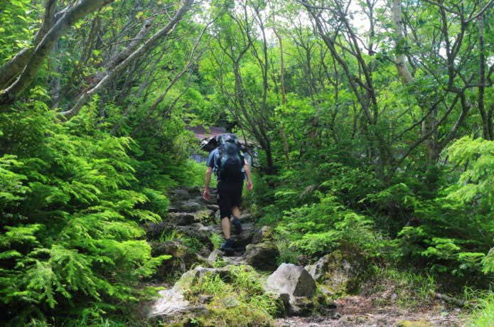 ソロ登山