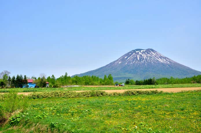 初夏の羊蹄山
