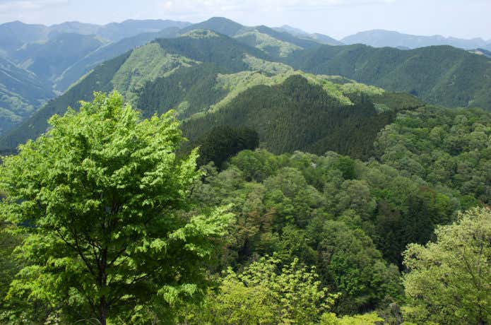高水三山の稜線