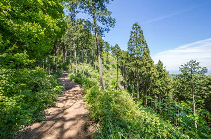 高尾山に登ったら、次はこの山！ ステップアップにおすすめの9座