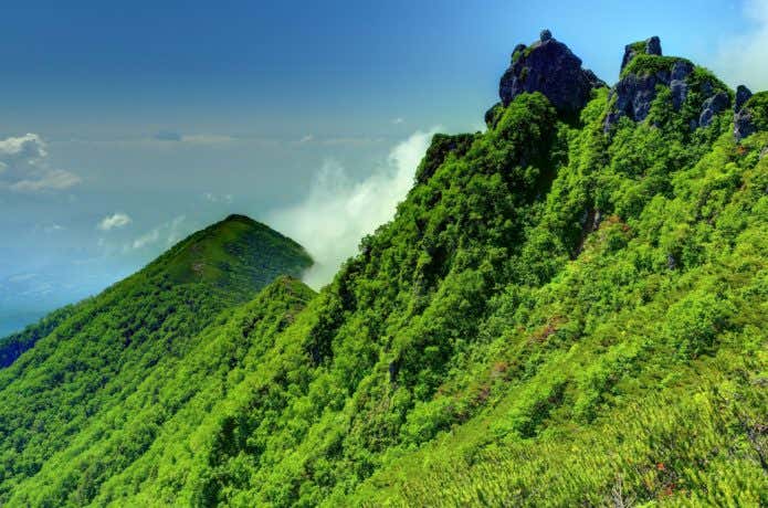 権現岳