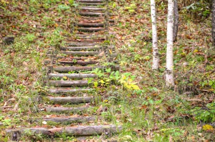 蝶ヶ岳の登山道