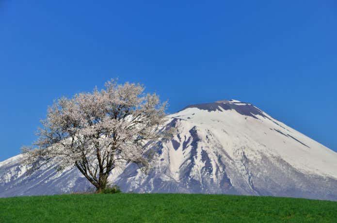 岩手山の雄大な景色