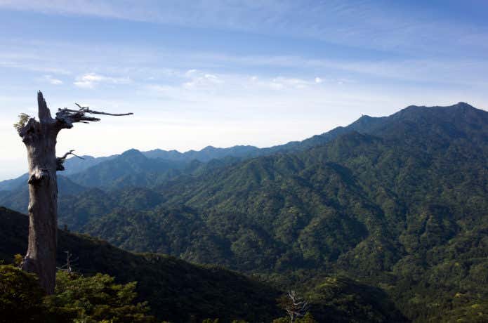 太鼓岩