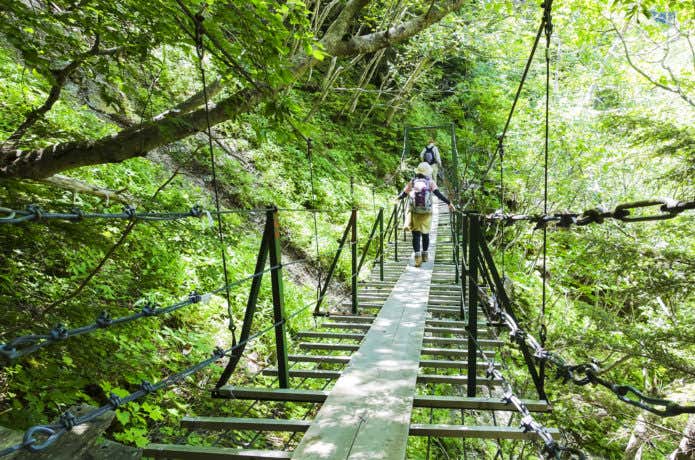 聖岳の吊り橋の画像
