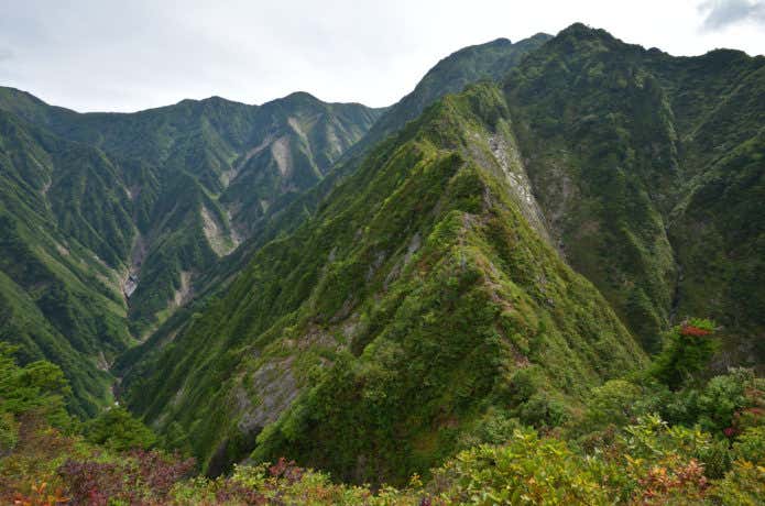 越後三山のオカメノゾキ