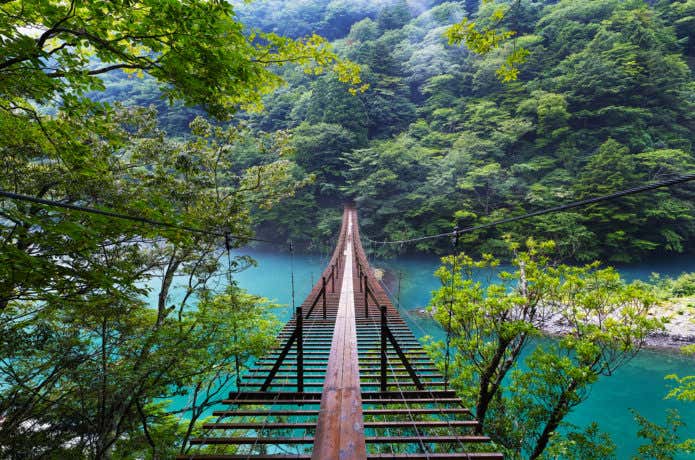夢の吊橋