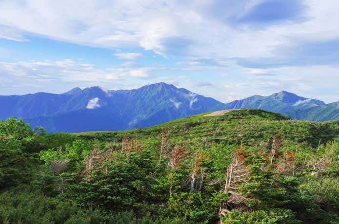 光岳　イザルガ岳