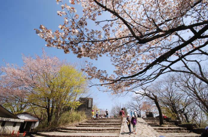 春の高尾山山頂