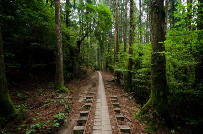 屋久島