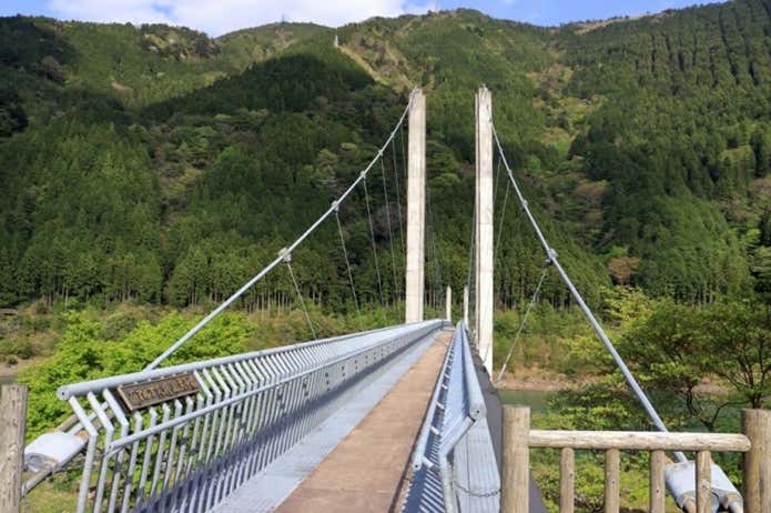 接岨大吊橋