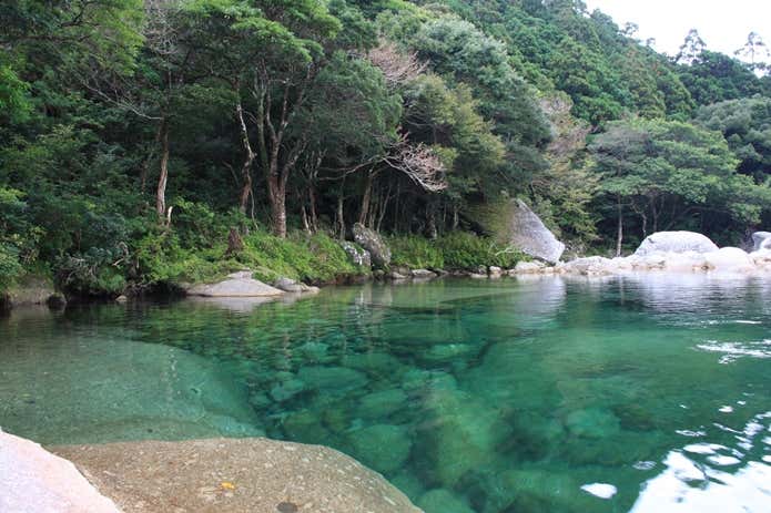 横河渓谷