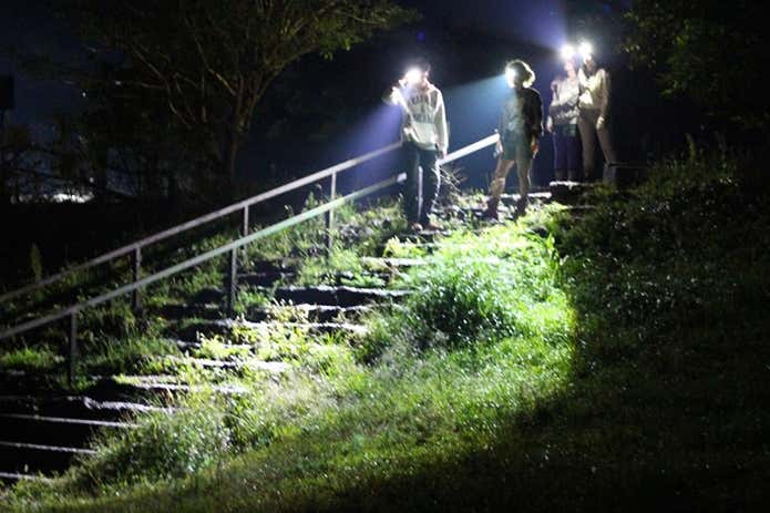 夜の登山道をヘッドライトをつけて歩く登山者