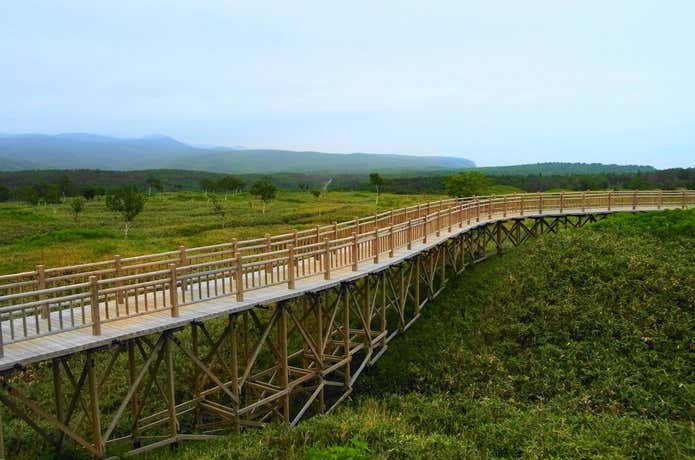 知床五湖　歩道