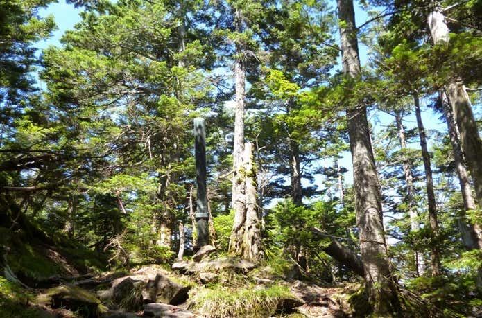 皇海山