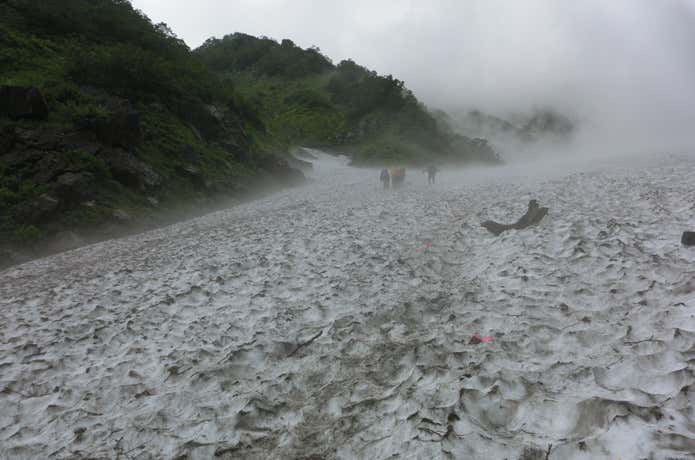 白馬岳雪渓
