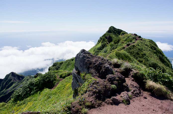 南側の本峰
