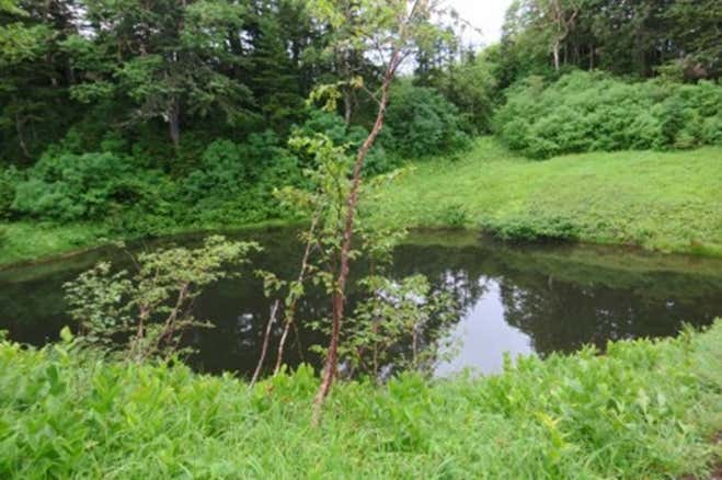 蝶ヶ岳　妖精の池