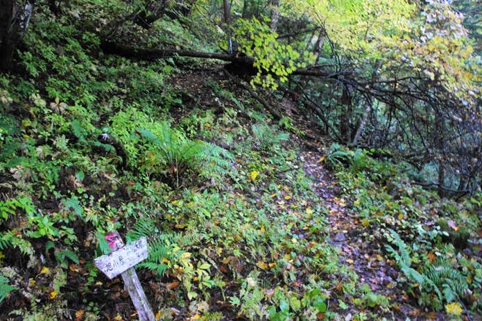 西岳登山口入り口