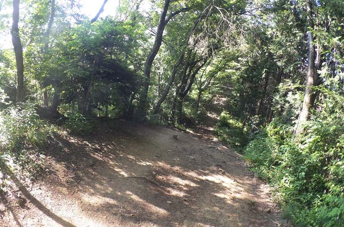 登山道