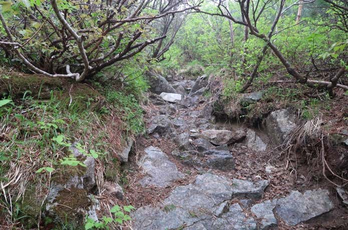 幌尻岳急登