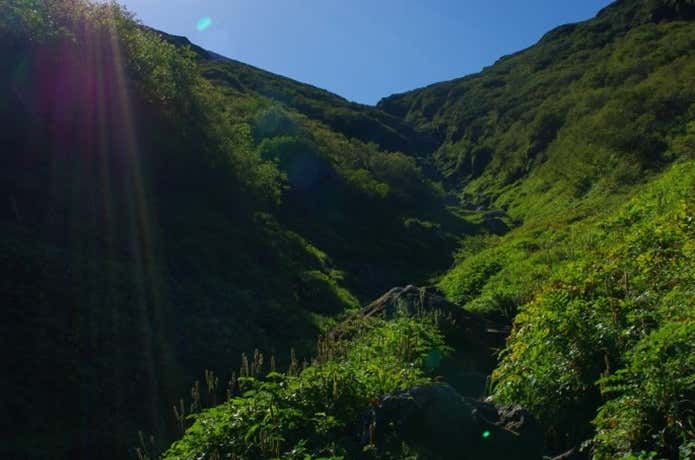 羅臼岳　大沢入口