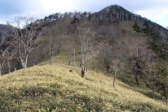 黒法師山