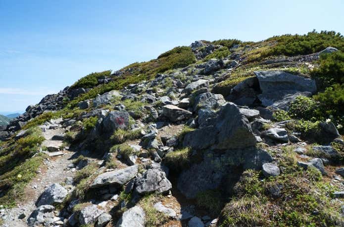 幌尻岳山頂手前