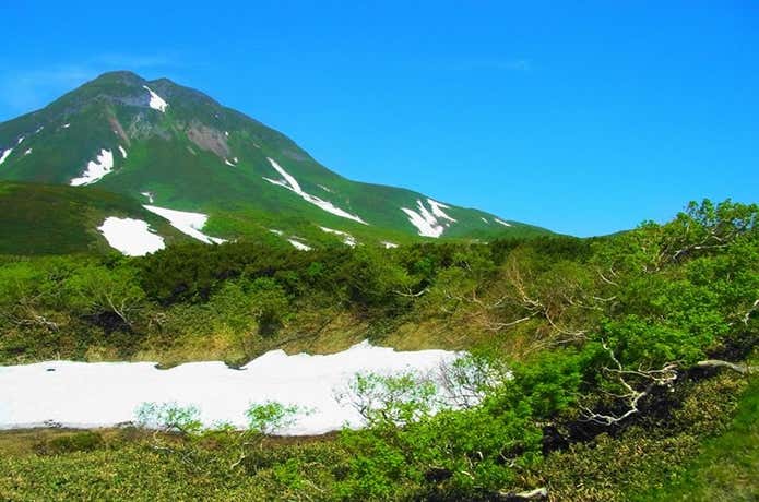 羅臼岳　雪渓