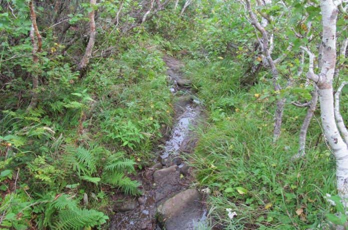 涸沢の登山道を歩く