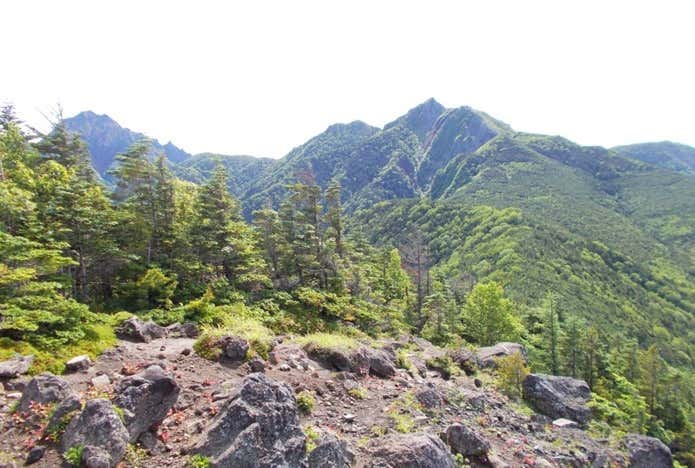 西岳山頂から見る赤岳