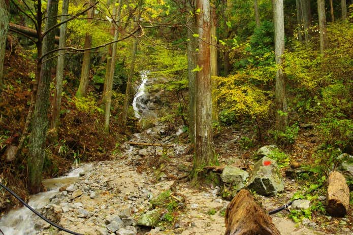 金剛山の沢