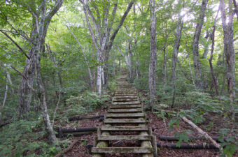 階段が多い山