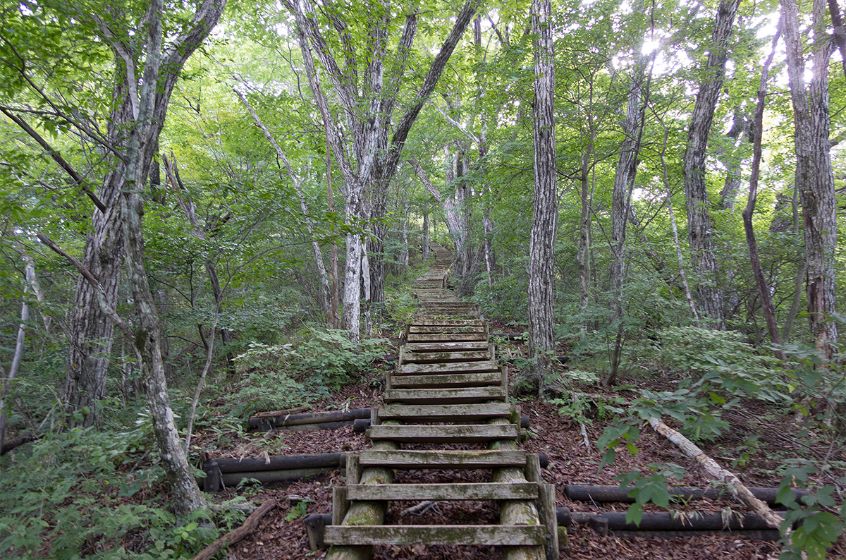 階段が多い山