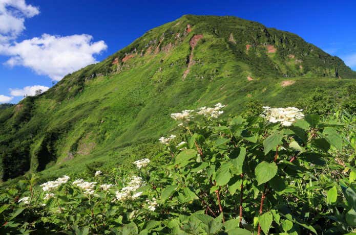 苗場山