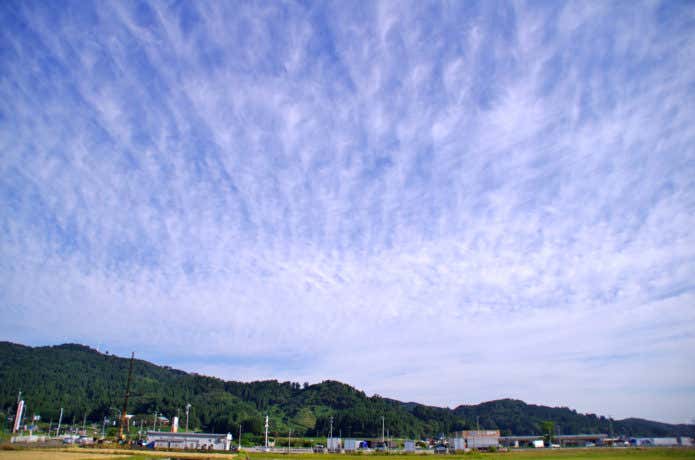 稲葉山