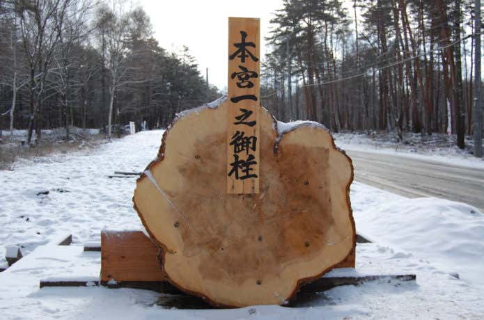 御小屋山で伐採された御柱