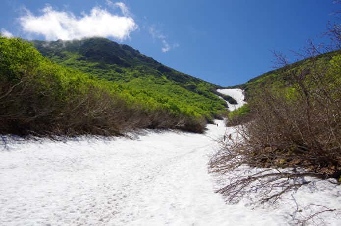 羅臼岳　雪渓