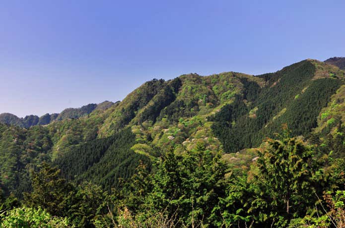 御岳山