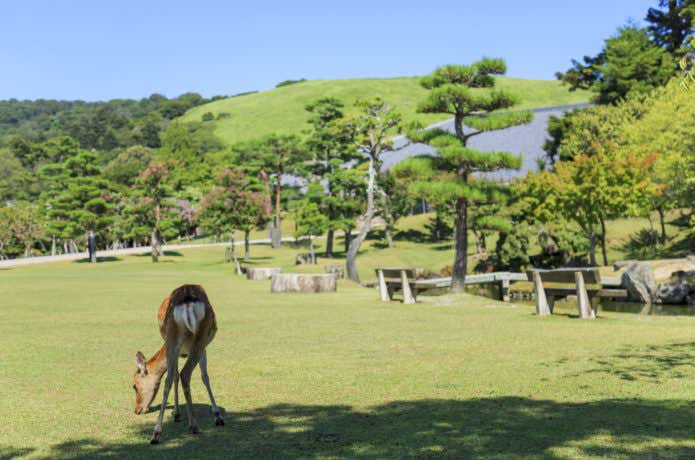 百人一首に出てくる山