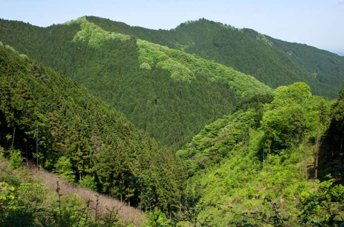 高水三山の稜線