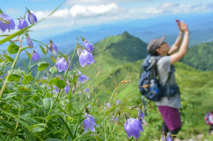 お花畑　登山