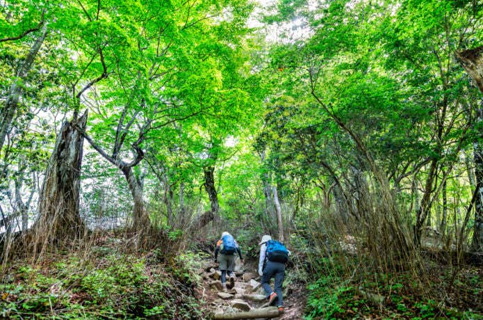登山をしている人