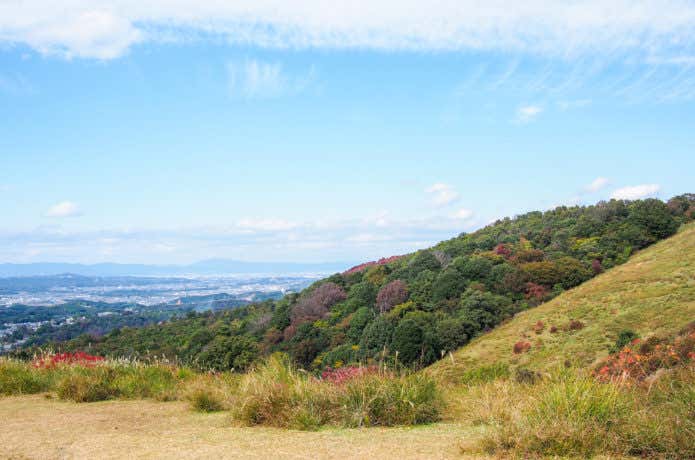 三笠山