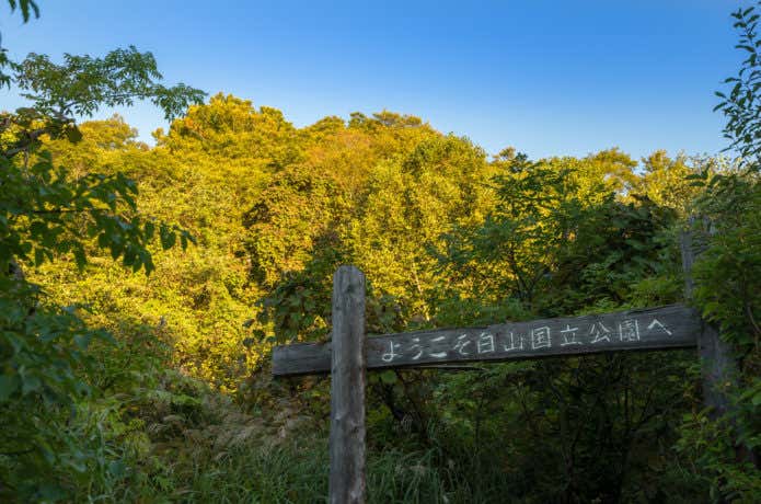 平瀬道ルート