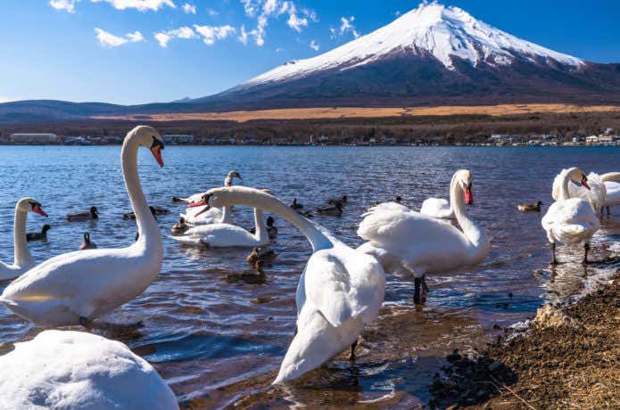 山中湖