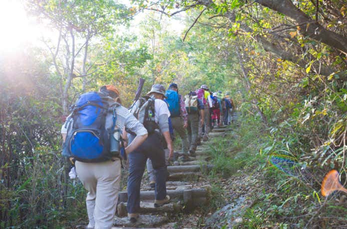 樹林帯　登山者