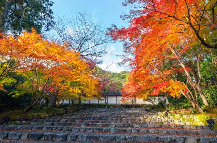 小倉山紅葉