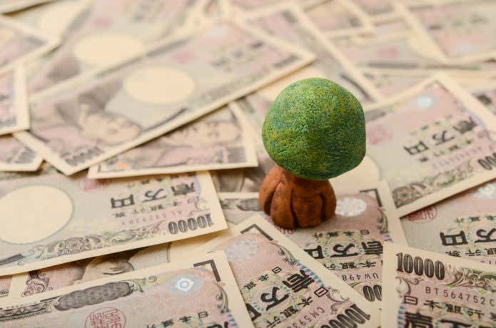 海外の入山料　1万円札の海